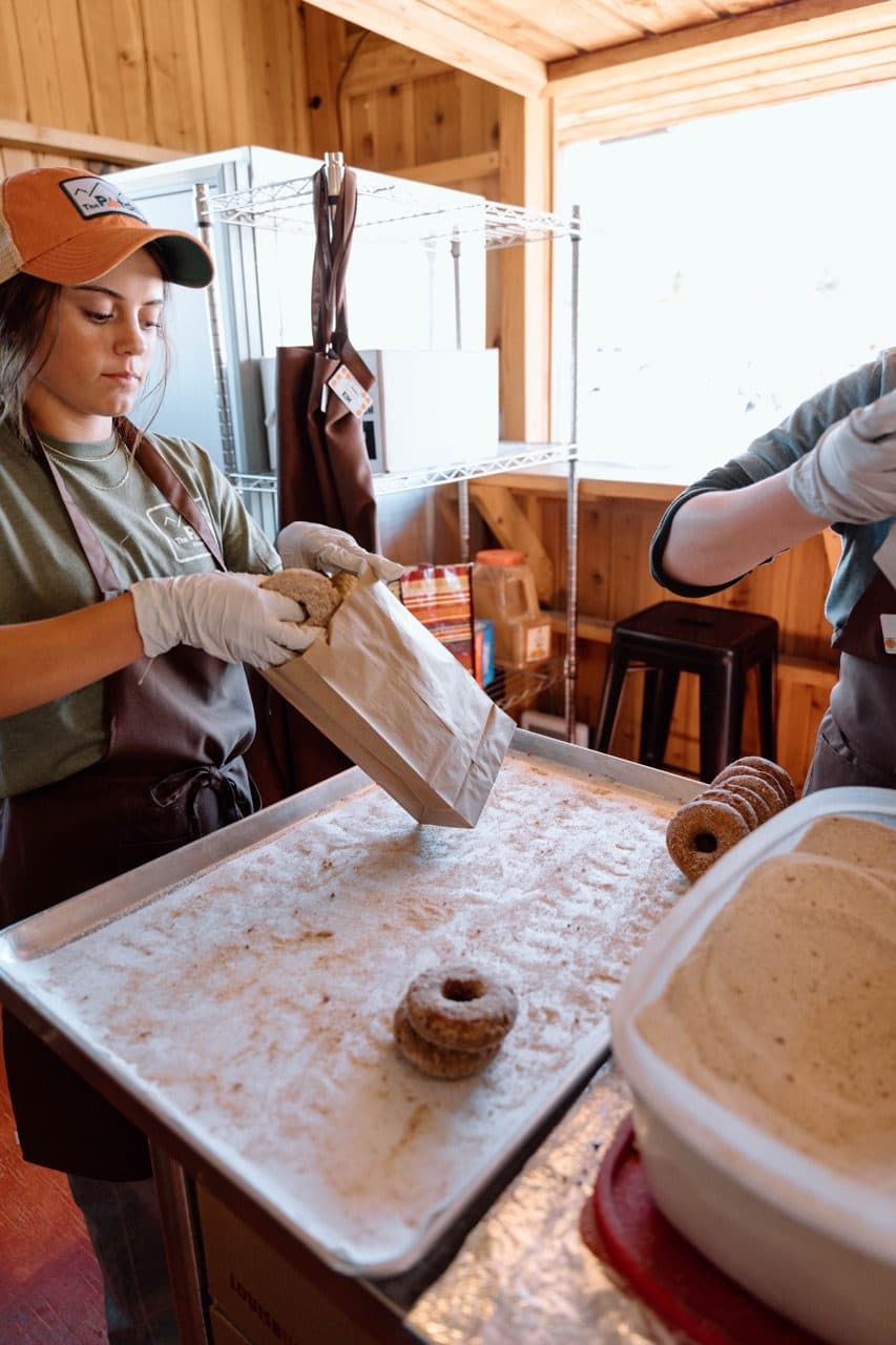 Trays of fresh apple cider donuts