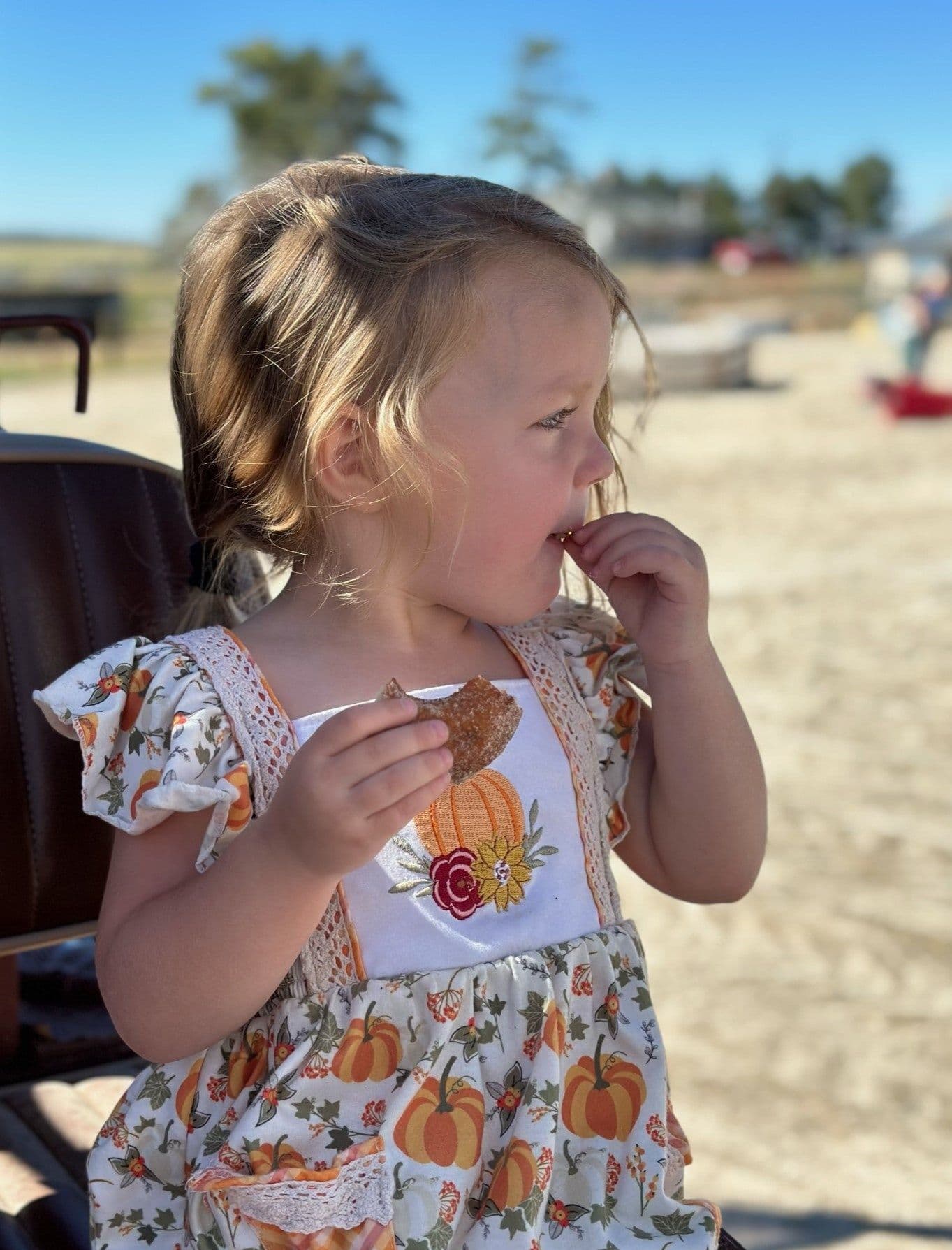 A little girl eating a donut at the farm